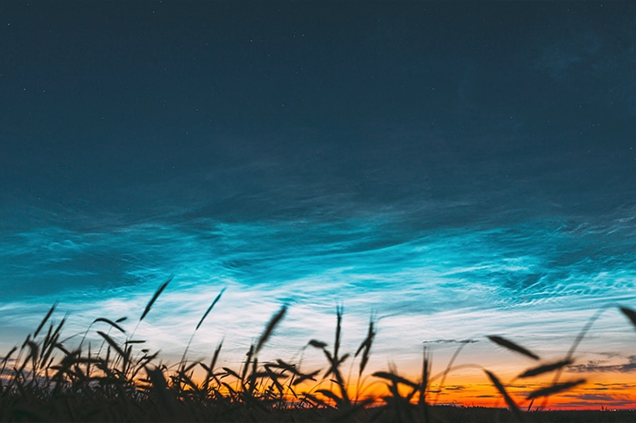 noctilucent clouds over the field