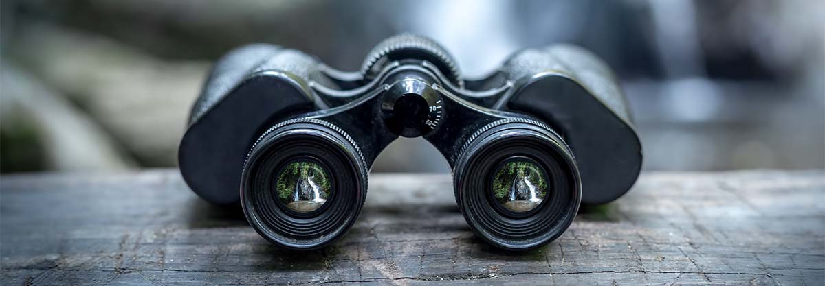 Spotting scope vs Binoculars - which to choose?