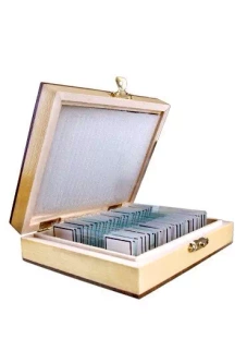 Microscope slides Botanics